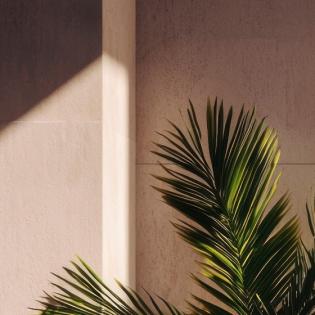 Leerer Raum mit Treppe und Zimmerpflanze