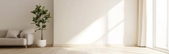 Heller, leerer Raum mit einer Couch und einer Zimmerpflanze