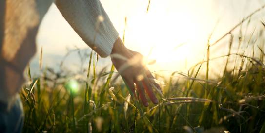 Frau streicht beim Laufen durch Gras