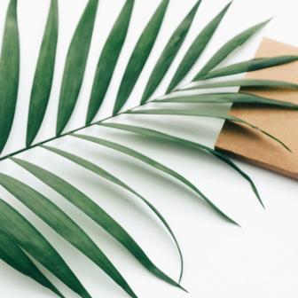 Minimalistische Arbeitsplatzausstattung mit Palmenblättern