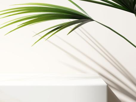 Weißer Marmorblock von weißer Wand mit Palmenpflanze